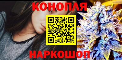 круглые Лесосибирск