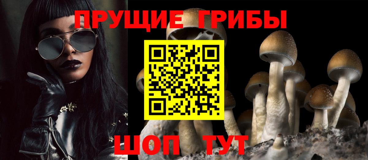 Псилоцибиновые грибы ЛСД  Вход с VPN  Ижевск  Псилоцибиновые грибы прущие грибы 